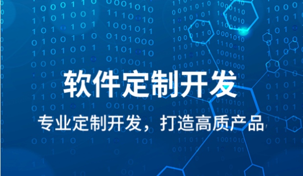 软件开发